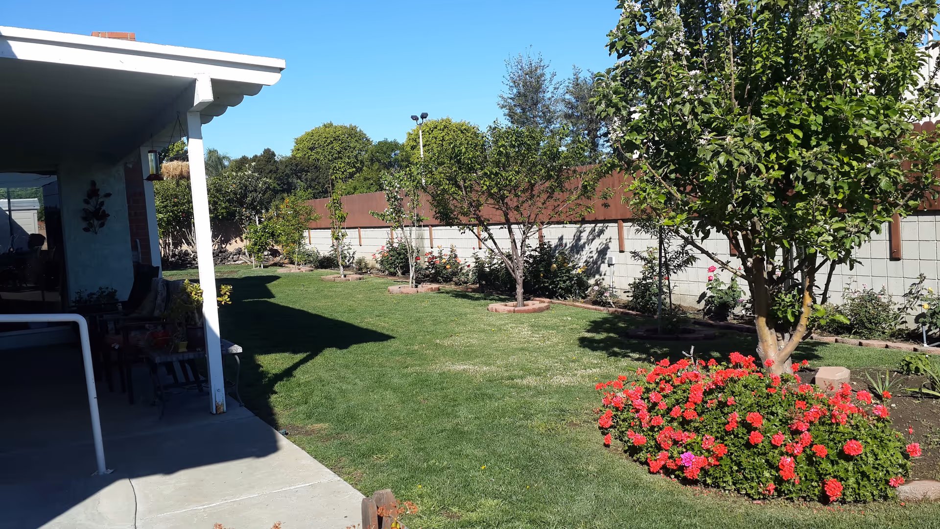 A sunny outdoor garden area with a well-maintained lawn, several small trees, and a flower bed with red and pink flowers. There is a covered patio on the left side with chairs and a table, and a concrete walkway leading into the garden. A brick and concrete wall encloses the garden area.