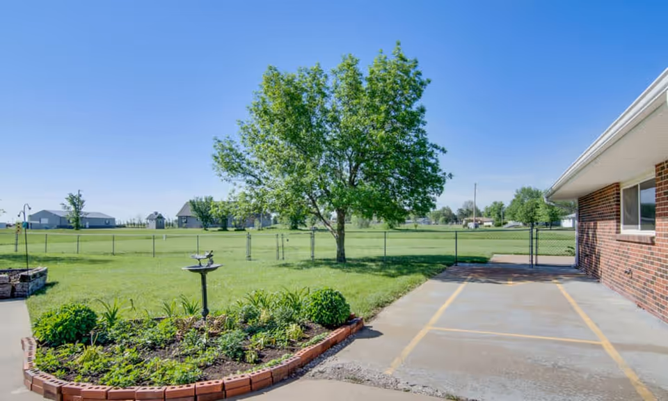 Grassy yard with a tree, flowerbed and birdbath next to a brick building and paved parking area under a clear blue sky.