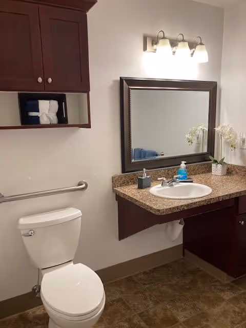 A clean bathroom with a white toilet, a granite countertop with a sink, a large framed mirror above the sink, a wall-mounted light fixture with three lights, a small potted orchid plant, a soap dispenser, and a cabinet with folded towels inside.