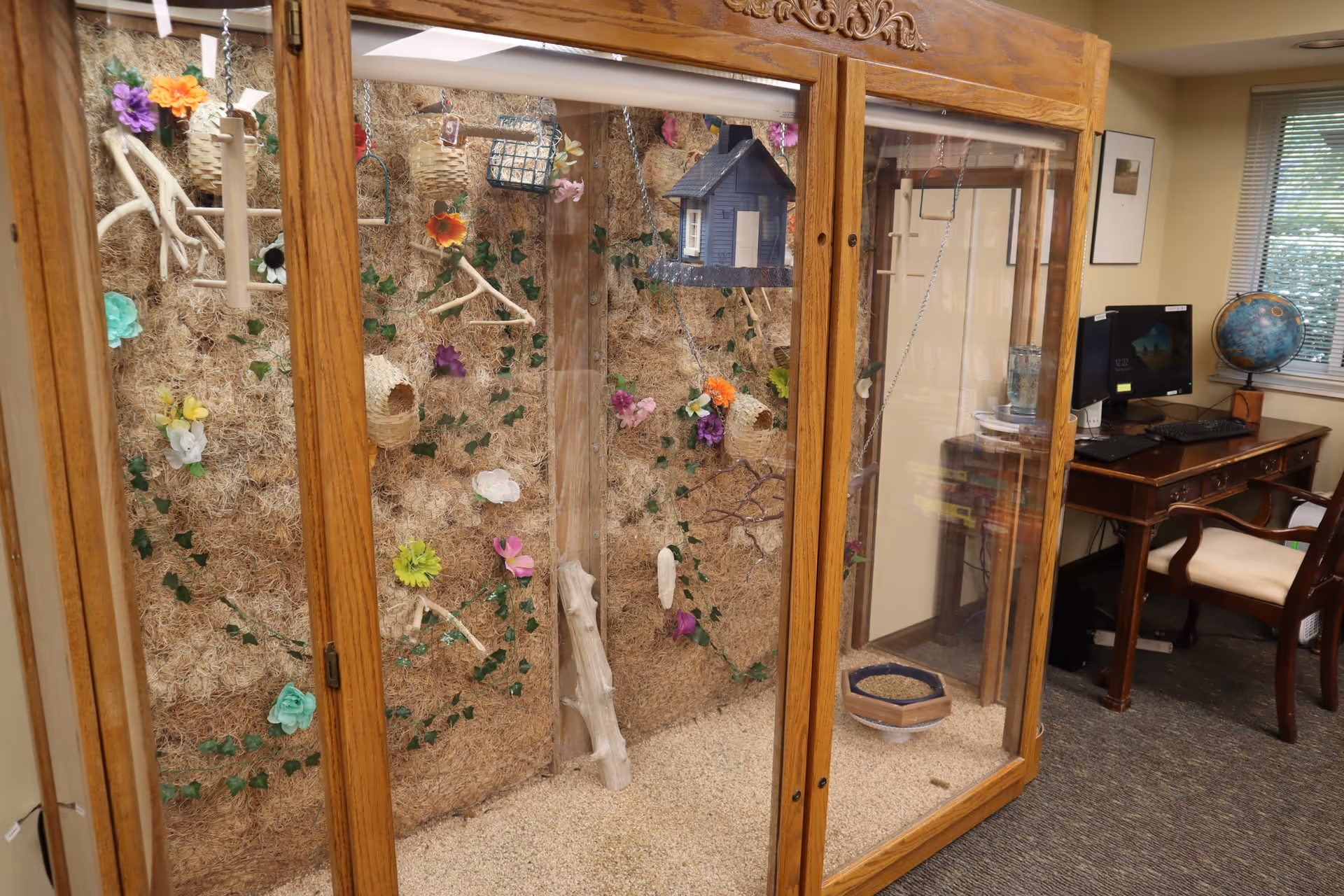 A large wooden and glass enclosure filled with natural materials like wood shavings, branches, and colorful artificial flowers, designed as a habitat or display. To the right, there is a wooden desk with a computer monitor, keyboard, mouse, and a globe on top, next to a window with blinds partially open.