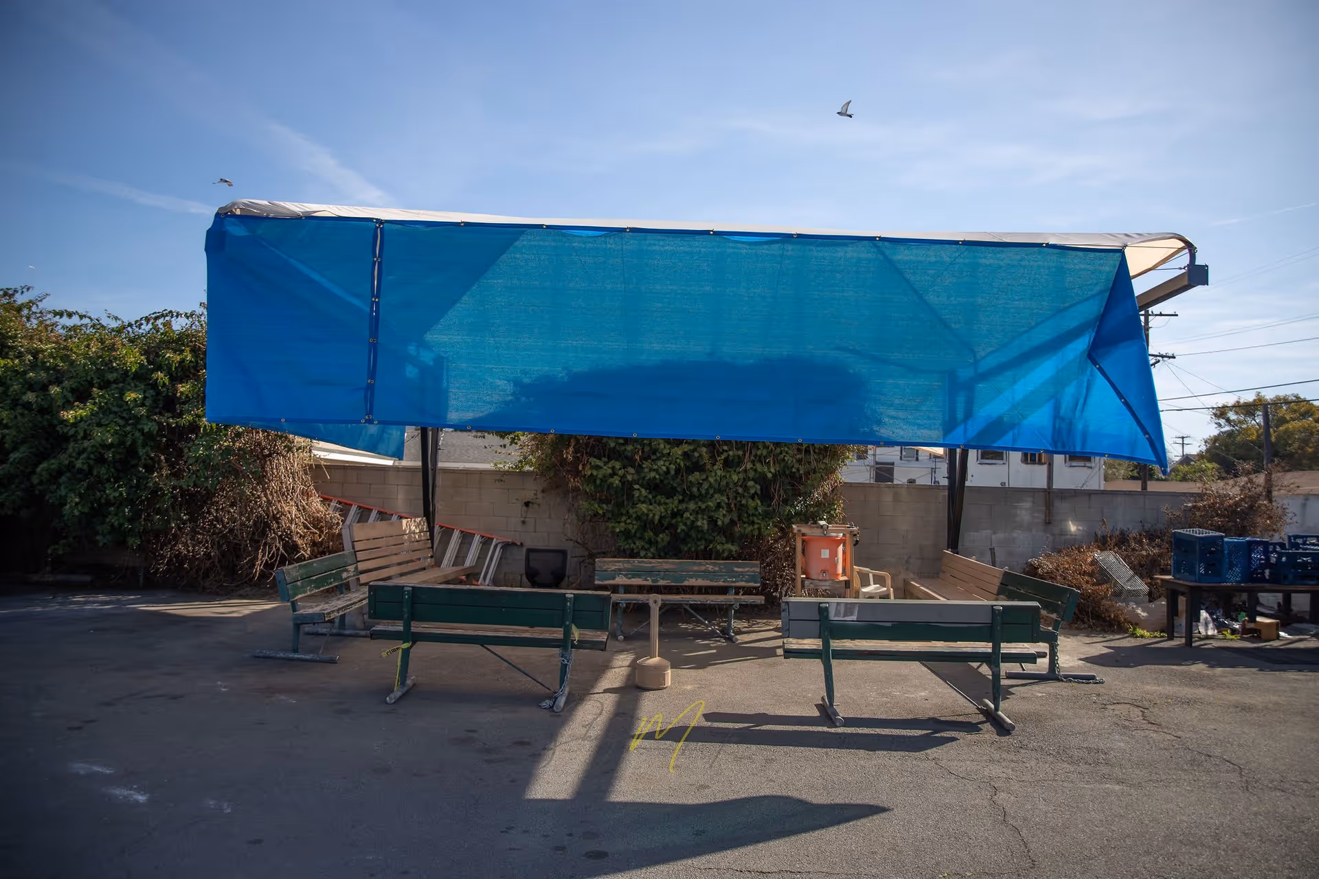 Outdoor seating area with several green and beige benches arranged under a large blue canopy. The area is paved and surrounded by a concrete wall with some greenery and bushes behind it. A bird is flying in the clear blue sky above.