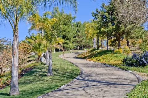 A winding paved pathway surrounded by green grass, palm trees, and other trees under a clear blue sky in an outdoor garden setting.