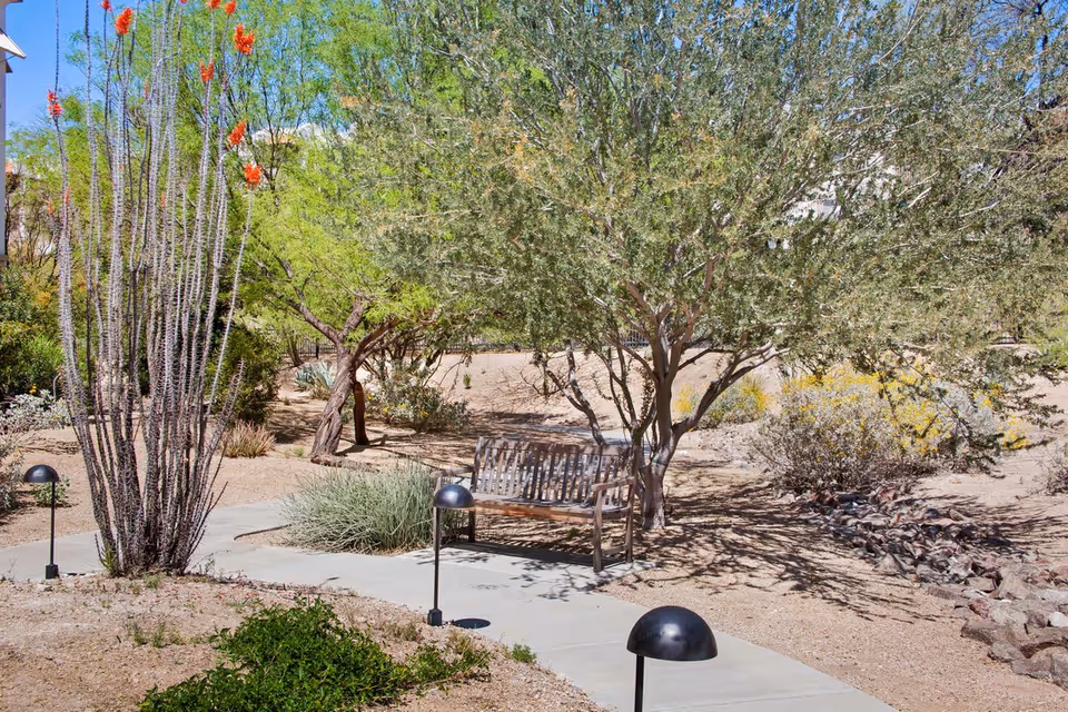 A desert garden area with a wooden bench under a tree, surrounded by various desert plants and shrubs. A paved walkway with small black dome-shaped lights runs through the garden. The sky is clear and blue.
