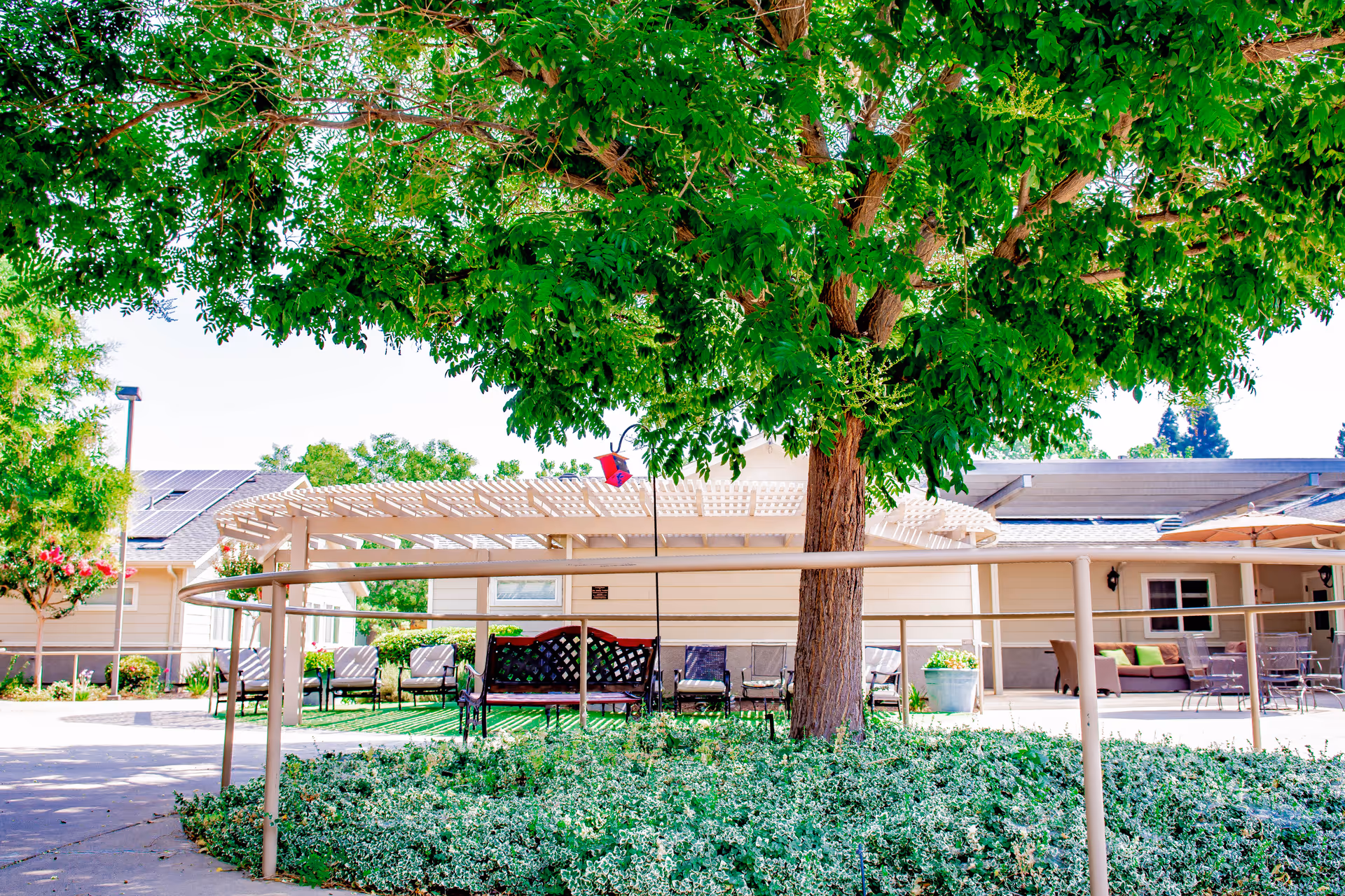 Shaded outdoor courtyard with a large tree, seating under a pergola, and surrounding greenery.