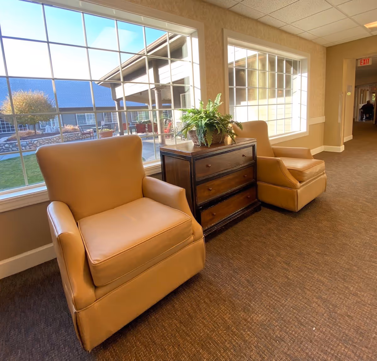 Two tan leather armchairs separated by a dark wooden chest of drawers with a potted fern on top, placed in a carpeted hallway with large windows showing an outdoor patio area with chairs and a tree.