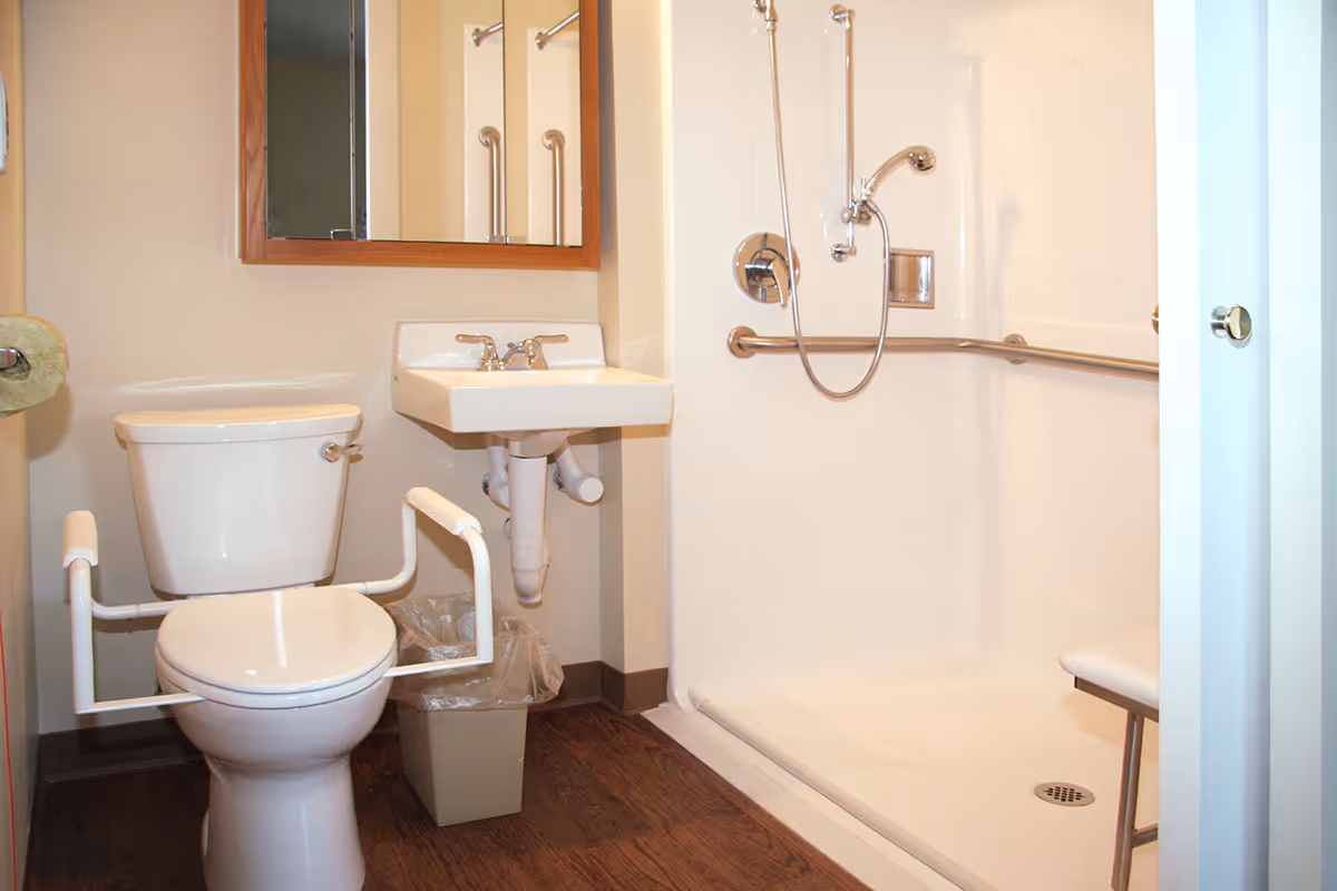 A bathroom with a toilet equipped with white safety rails, a wall-mounted sink with a mirror above it, and a walk-in shower with a handheld showerhead and grab bars. The floor has a wood-like finish and there is a small trash bin under the sink.