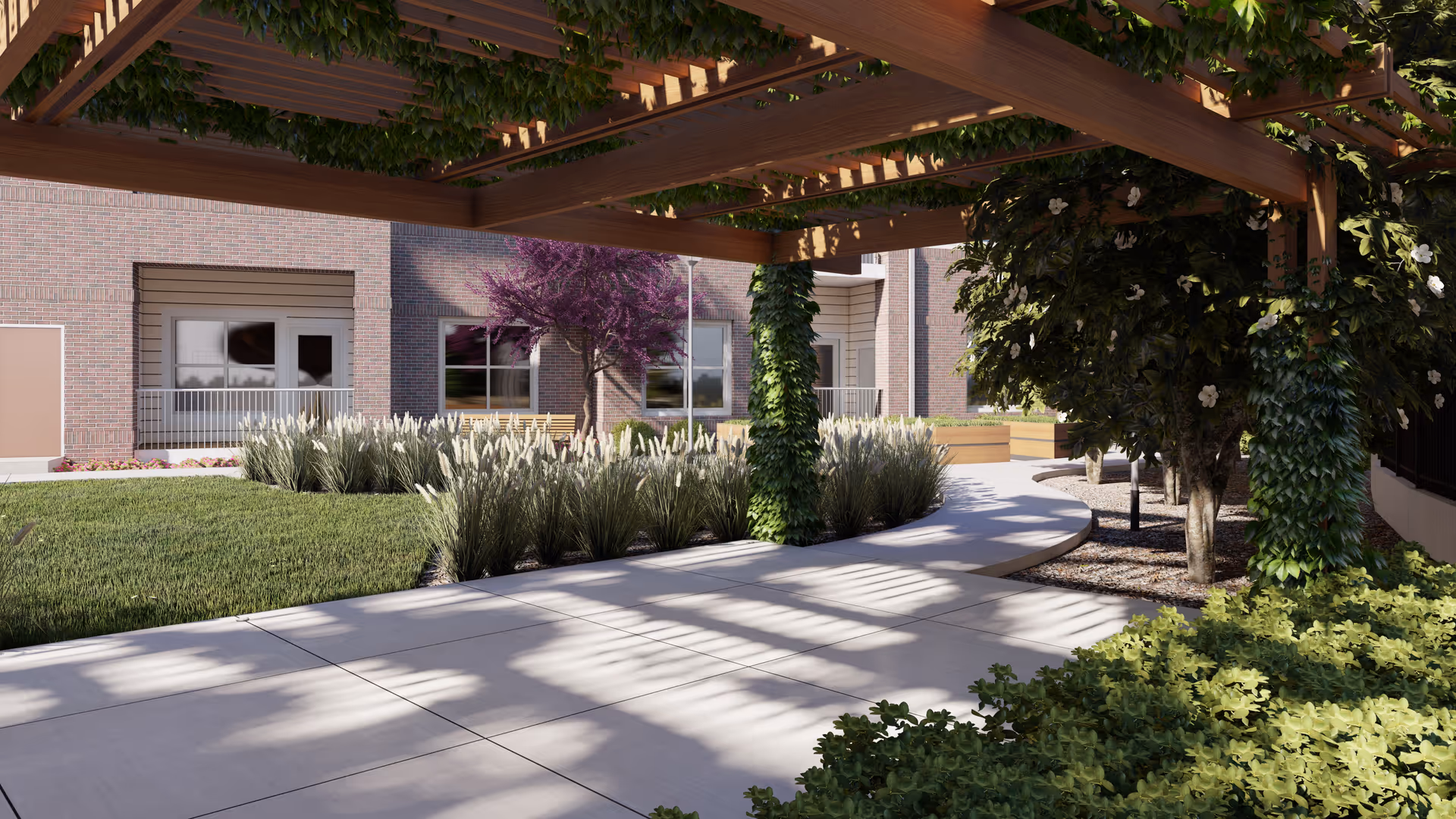 Outdoor garden area at Acclaim at Cary Pointe featuring a wooden pergola with green vines growing on it, a paved walkway, ornamental grasses, bushes, and trees including one with purple leaves. The background shows a brick building with windows and doors.