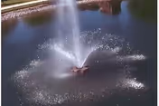 A central fountain sprays water upward in a pond, creating ripples across the surface.