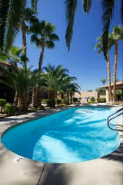 Outdoor swimming pool surrounded by palm trees and apartment buildings under a clear blue sky at Court Senior Apartments.