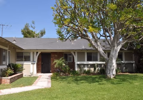 Single-story residential building with a brick and beige exterior, a black front door, several windows, a large tree in the front yard, and a well-maintained green lawn under a clear blue sky.