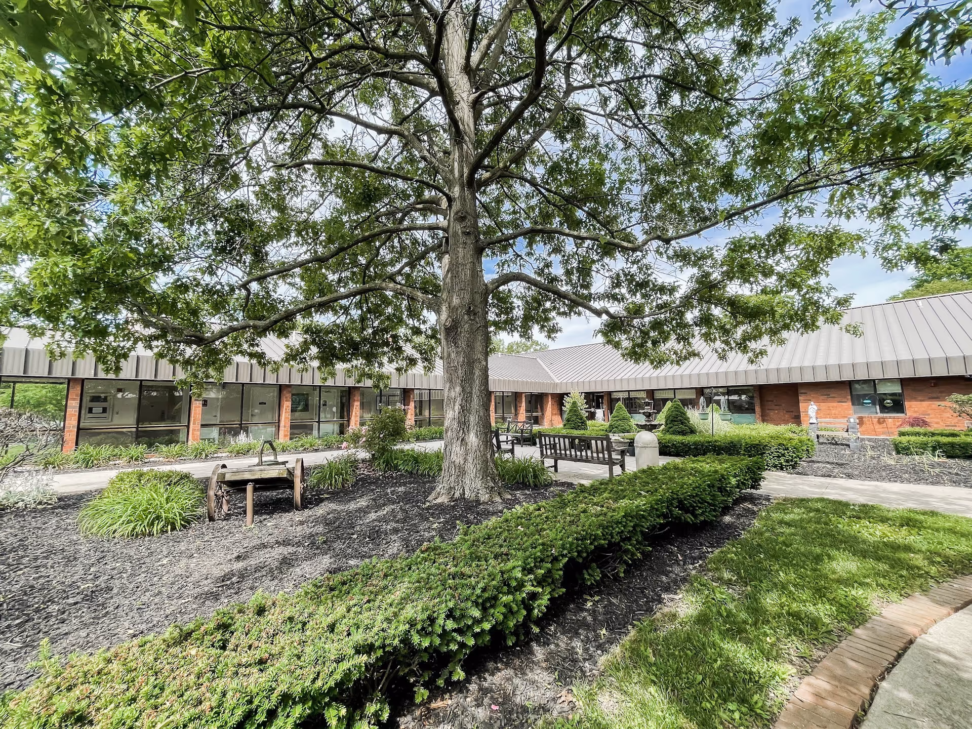 A landscaped outdoor courtyard area at Inniswood Health & Rehabilitation featuring a large tree in the center, surrounded by neatly trimmed bushes, garden beds with mulch, benches, and a paved walkway. The building with large windows and a metal roof encloses the courtyard.