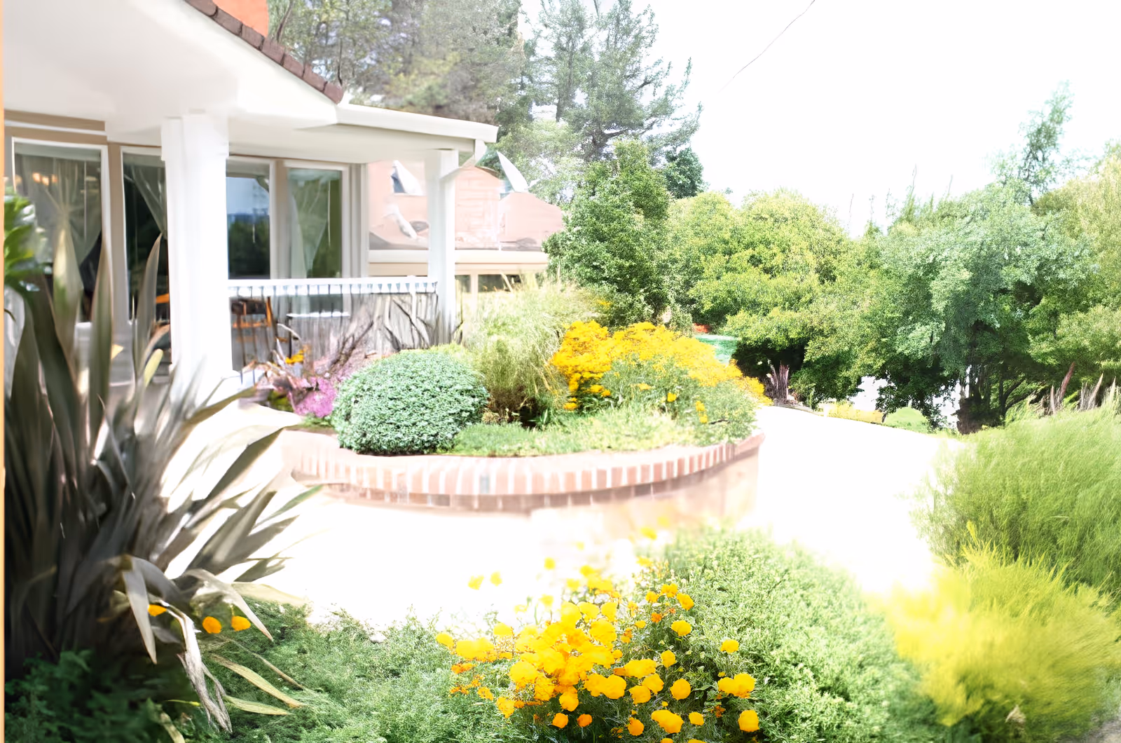 Front porch and landscaped garden with yellow flowers and shrubs in front of a residential building.