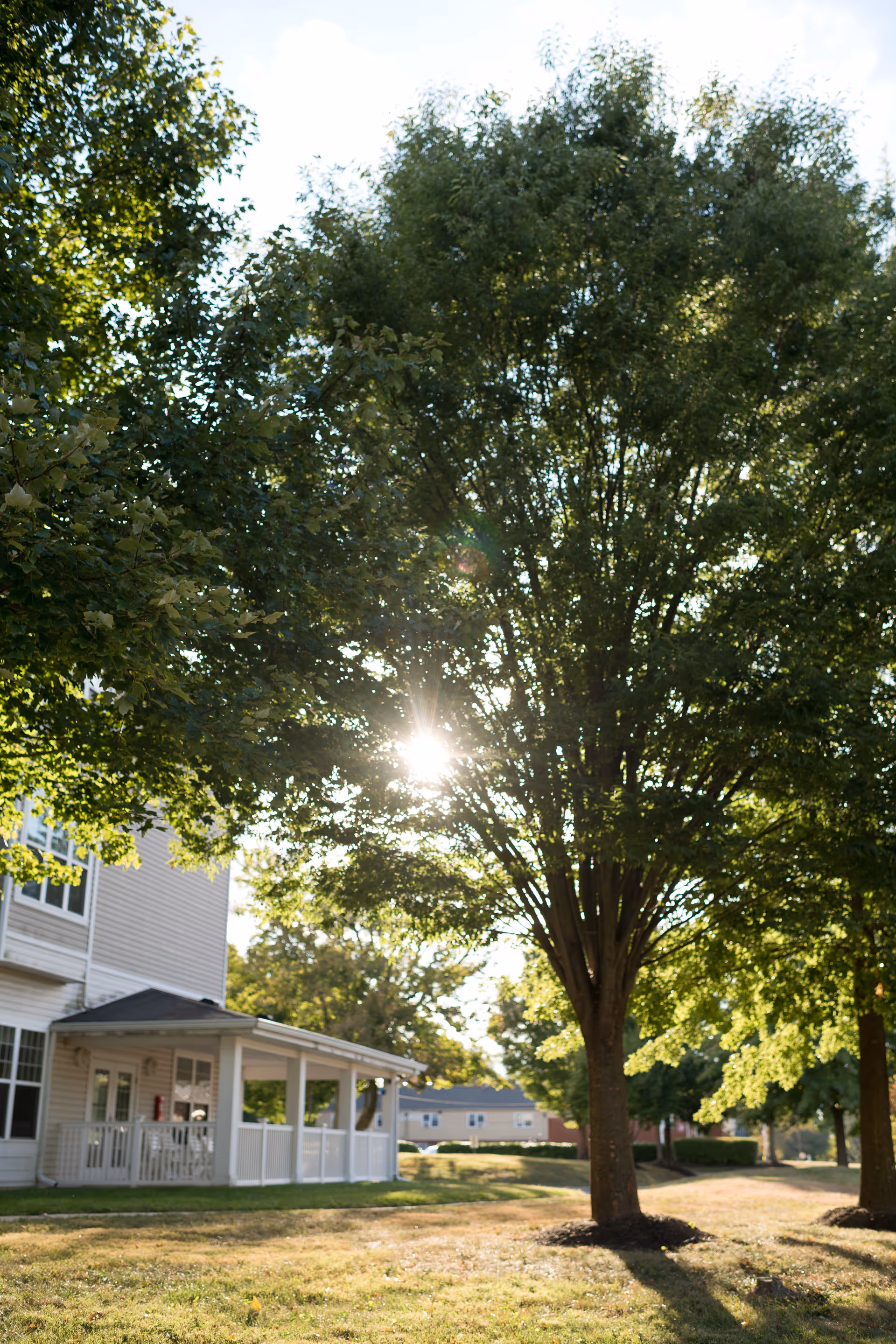 Sunlit tree and grassy yard beside a senior living building with a covered porch.