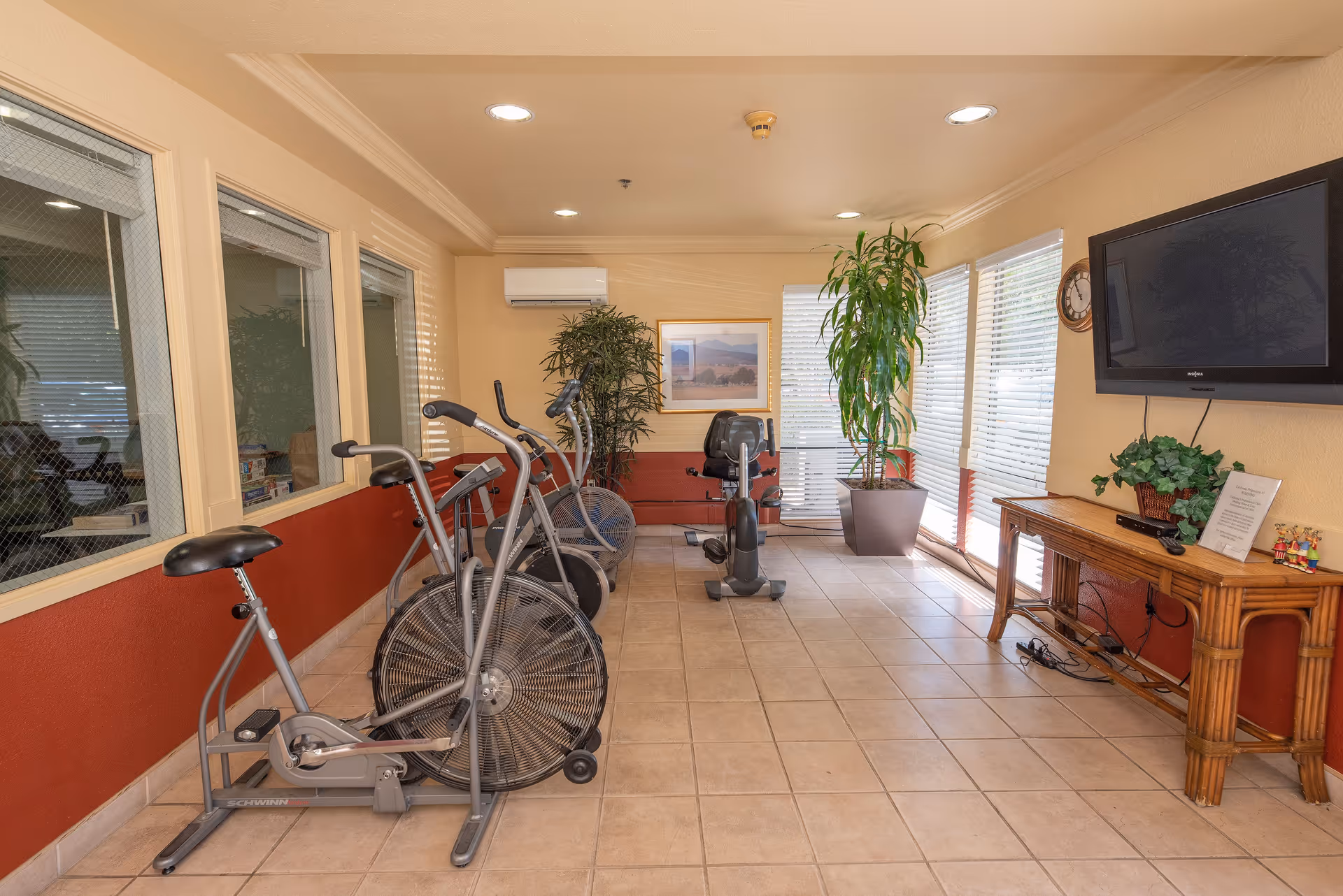 A small exercise room with three stationary exercise bikes lined up on the left side. The room has tiled floors, beige walls with a red lower half, and large windows with blinds on the right side. There are two large potted plants at the far end of the room, a wall-mounted TV on the right wall above a wooden console table with a plant and some decorative items, and a framed picture on the back wall.
