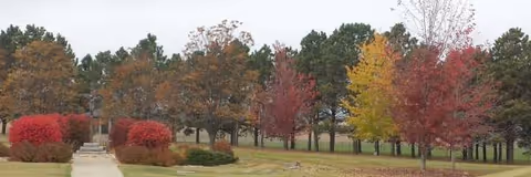 Paved walkway leads to a building entrance, surrounded by autumn trees and red shrubs.