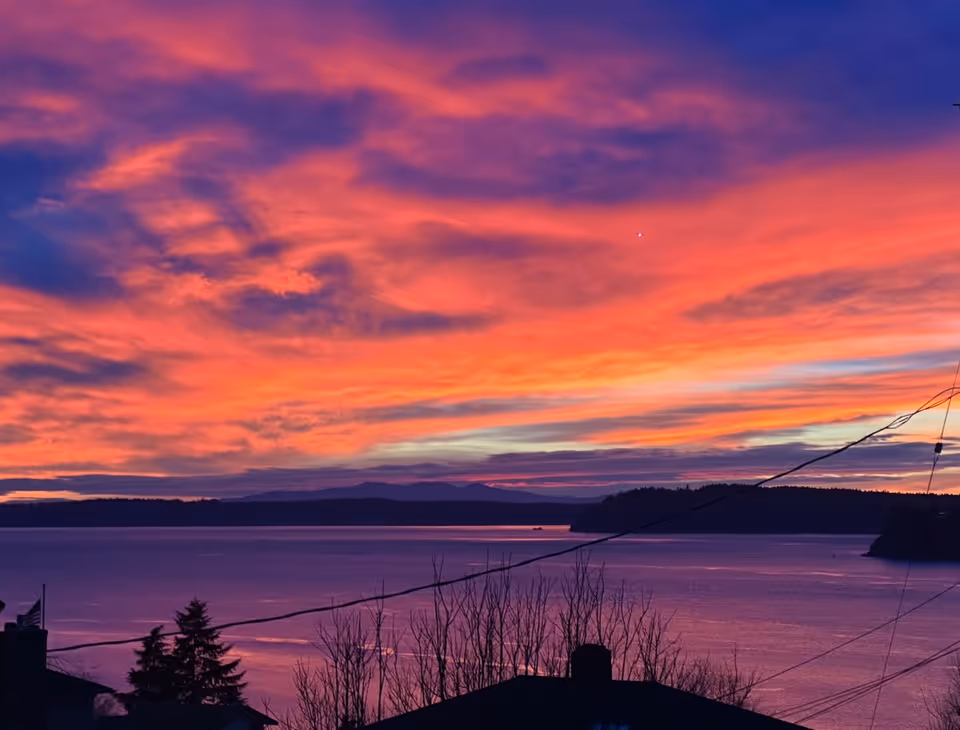 Vibrant pink and purple sunset over a body of water with silhouetted shoreline, trees, rooftops, and power lines.