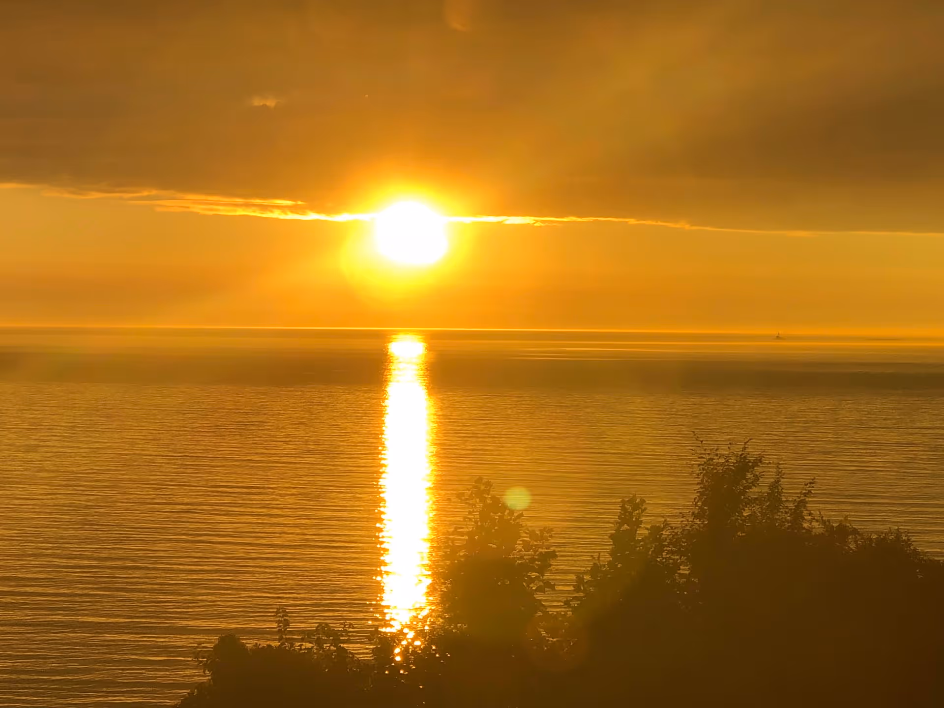 A bright golden sunset over a calm body of water with the sun's reflection creating a glowing path on the surface. Silhouettes of trees are visible in the foreground.