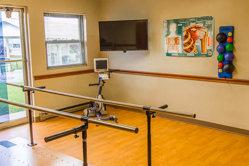 A rehabilitation room with parallel bars for walking exercises, a stationary exercise bike, a wall-mounted TV, an anatomical poster showing shoulder muscles, and a rack holding various colored therapy balls. There is a window and a glass door leading outside.