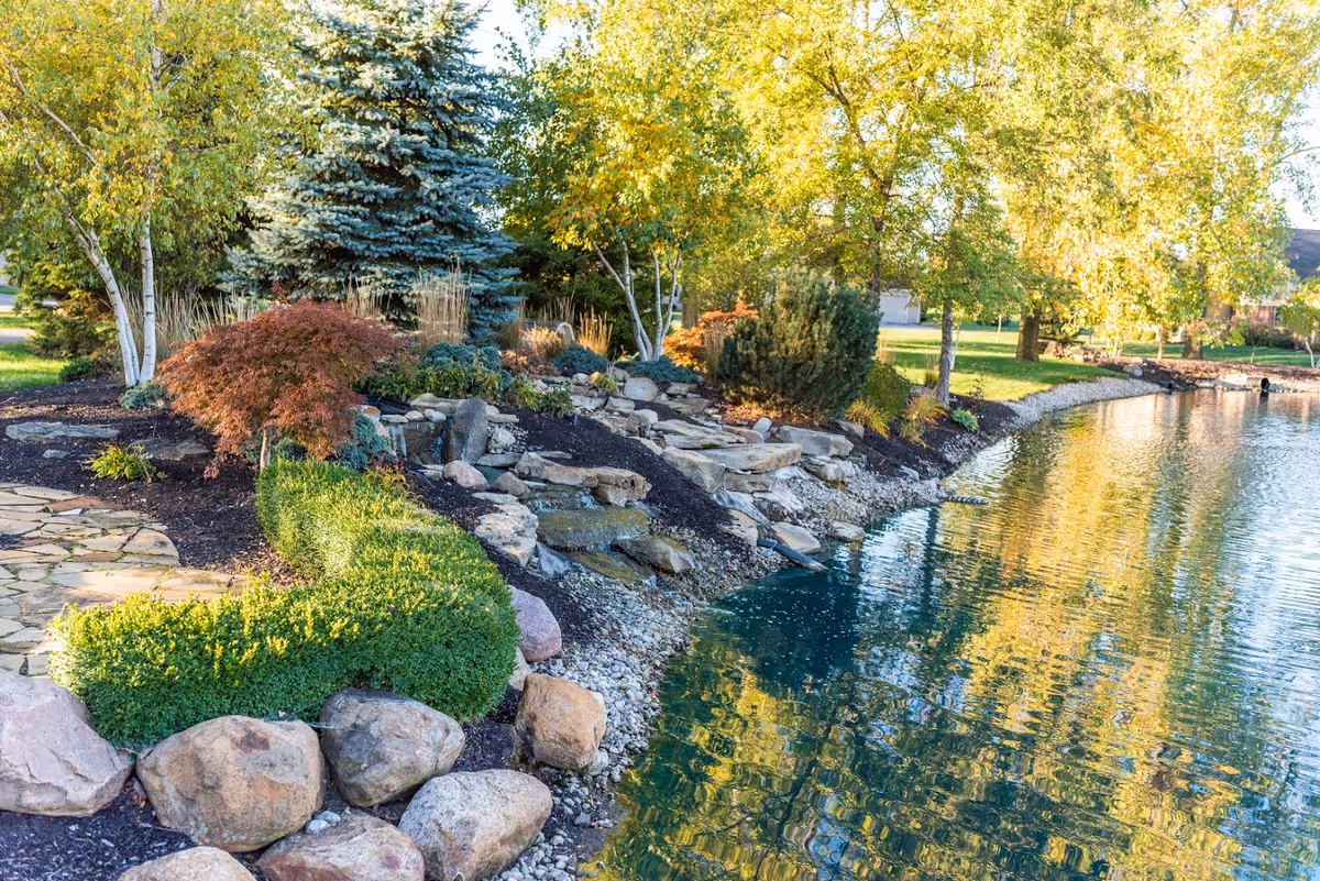 Manicured landscaped pond shoreline with rocks, shrubs, and trees reflecting in the water.