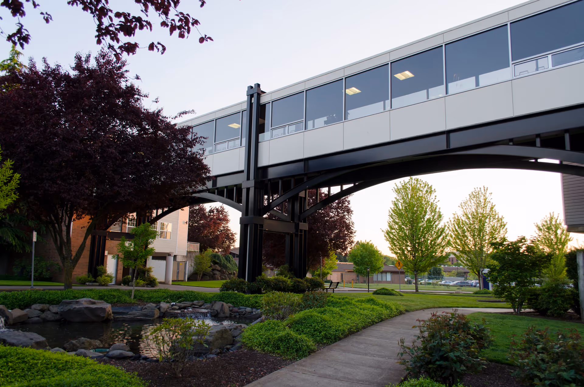 Outdoor view of Cherrywood Village a Generations Community showing a modern elevated walkway connecting two buildings, surrounded by landscaped greenery, trees, a small pond with rocks, and a paved pathway.