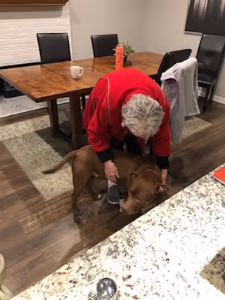 An elderly person wearing a red jacket bending down to pet a brown dog in a room with a wooden dining table and black chairs. A white mug and a red water bottle are on the table, and a gray jacket is draped over one of the chairs.