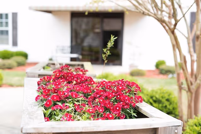 A wooden planter box filled with vibrant red flowers in an outdoor garden area with blurred greenery and a building in the background.