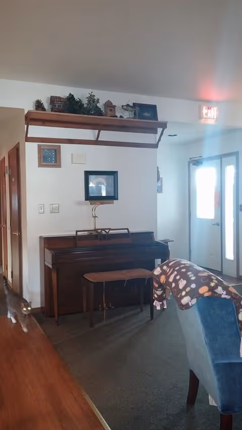 Interior view of a living room area with a wooden piano against a white wall, a small bench in front of the piano, a blue upholstered chair with a patterned blanket draped over it, and a cat walking on a wooden floor. There is a shelf above the piano with decorative items, framed pictures on the wall, and a door with a window letting in light in the background.