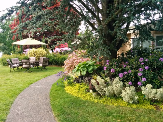Curved paved path through a landscaped garden with flowering shrubs, a large tree, and a patio table with umbrella and chairs.