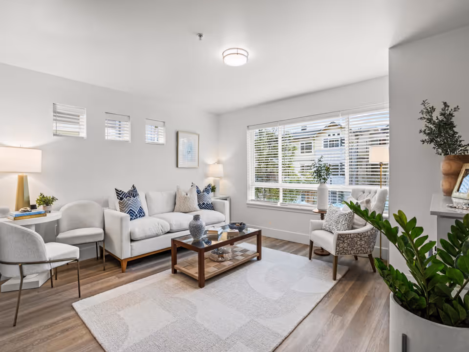 A bright and modern living room with a white sofa adorned with patterned pillows, two white chairs, a wooden coffee table with decorative items, a large window with blinds letting in natural light, and various plants and lamps adding to the cozy atmosphere.