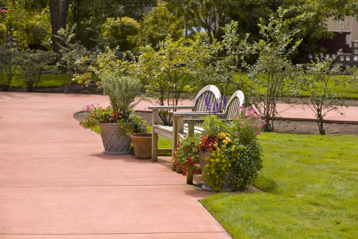 Two wooden benches on a paved pathway surrounded by green grass and various potted plants with colorful flowers in an outdoor garden setting.