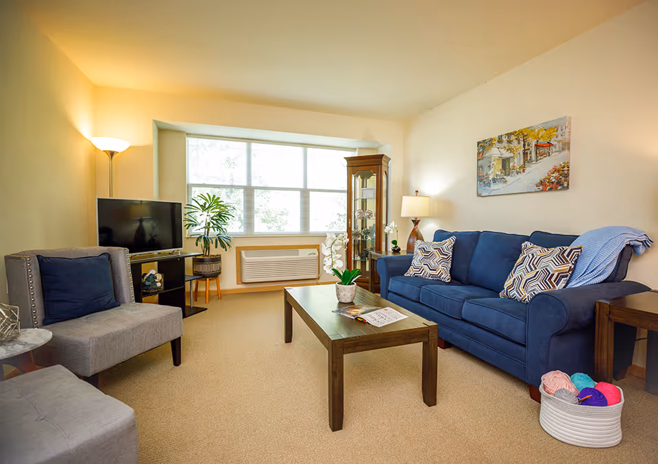 A cozy senior living room with a blue couch adorned with patterned pillows and a blue throw blanket. A wooden coffee table with a potted orchid and an open book sits in front of the couch. To the left, there is a gray armchair with a dark blue pillow and a small round marble side table. A flat-screen TV is placed on a black stand near a large window with blinds, and a tall floor lamp provides warm lighting. A wooden display cabinet with glass doors stands in the corner, and a basket with colorful yarn balls is on the floor next to the couch. A painting depicting a street scene hangs on the wall above the couch.
