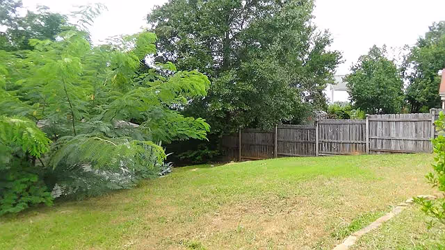 A grassy backyard area with a wooden fence and several green trees and bushes surrounding the space.