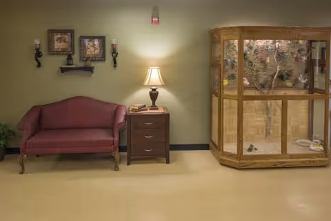 A small seating area with a red upholstered loveseat, a wooden side table with a lamp and books, two framed pictures and two wall-mounted candle holders above the loveseat, and a large wooden display case with a decorative scene inside against a light green wall.