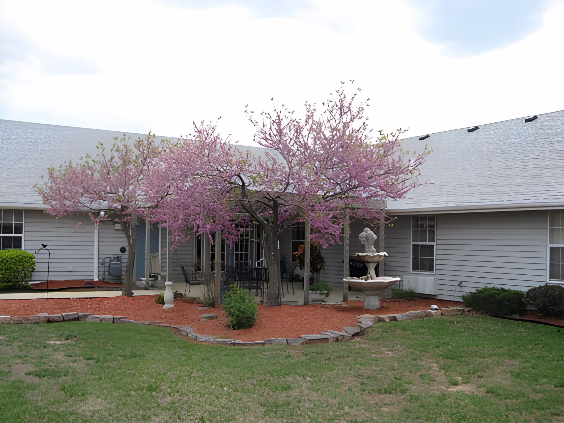 Outdoor courtyard area with green grass, a stone-bordered flower bed with red mulch, blooming pink trees, a stone birdbath fountain, and a covered patio with chairs and tables attached to a gray building.