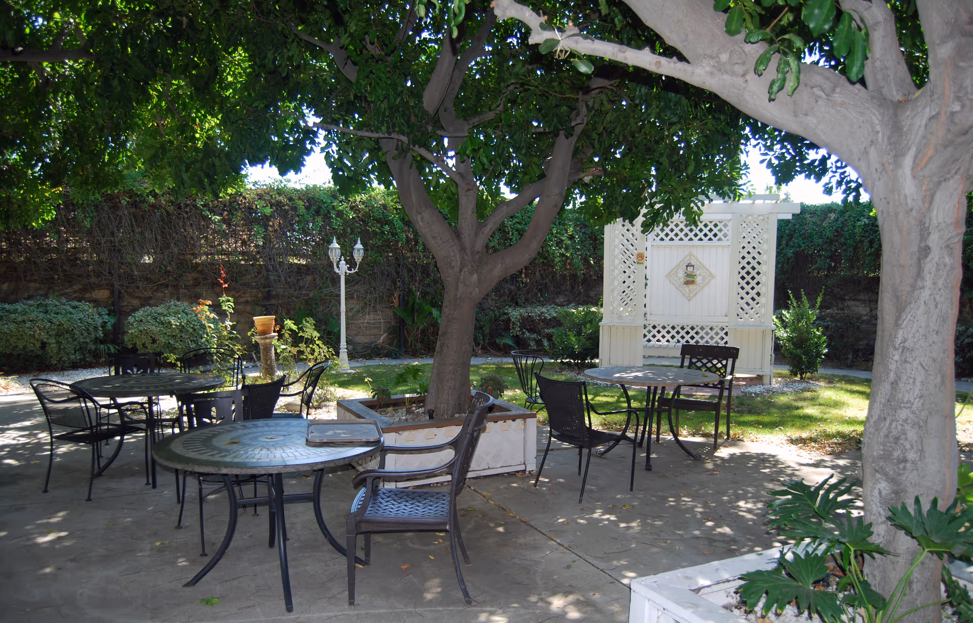 Outdoor patio area with several round metal tables and chairs arranged under large leafy trees providing shade. There is a white lattice structure in the background and various plants and bushes surrounding the paved seating area.