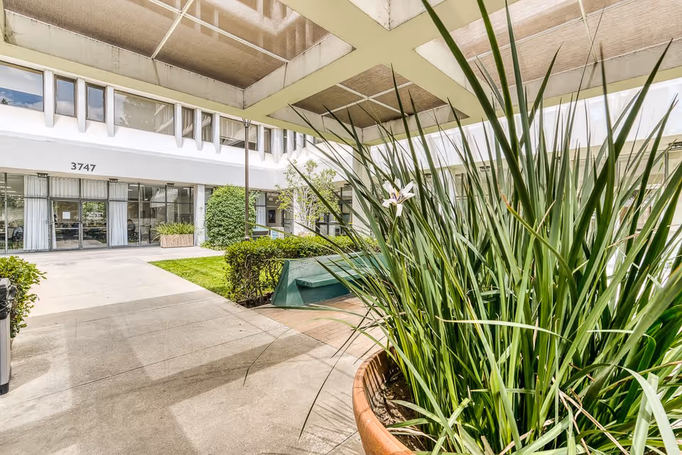 Outdoor courtyard area of a senior living facility with a large potted plant in the foreground, green bushes, a green bench, and a building entrance with the number 3747 visible above glass doors and windows.