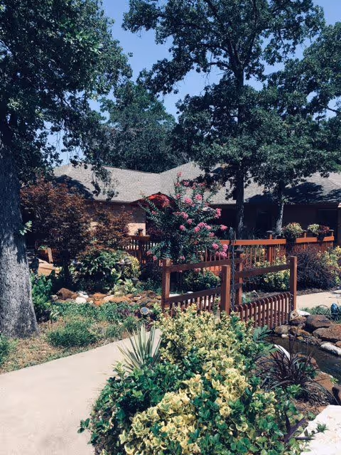 A landscaped outdoor area with a paved walkway, lush green plants, flowering bushes, and large trees. A wooden fence and a building with a sloped roof are visible in the background under a clear blue sky.