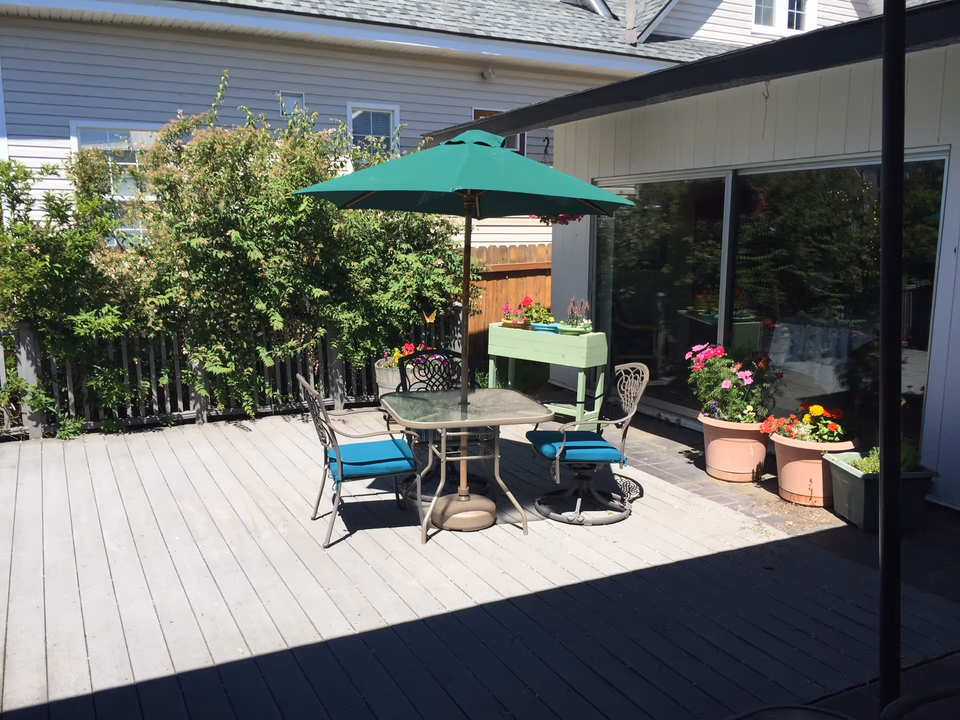 Outdoor patio area with a glass-top table, four chairs with blue cushions, and a green umbrella. There are several potted plants with colorful flowers and a green planter box against a wooden fence. The patio is adjacent to a building with large windows reflecting the greenery.