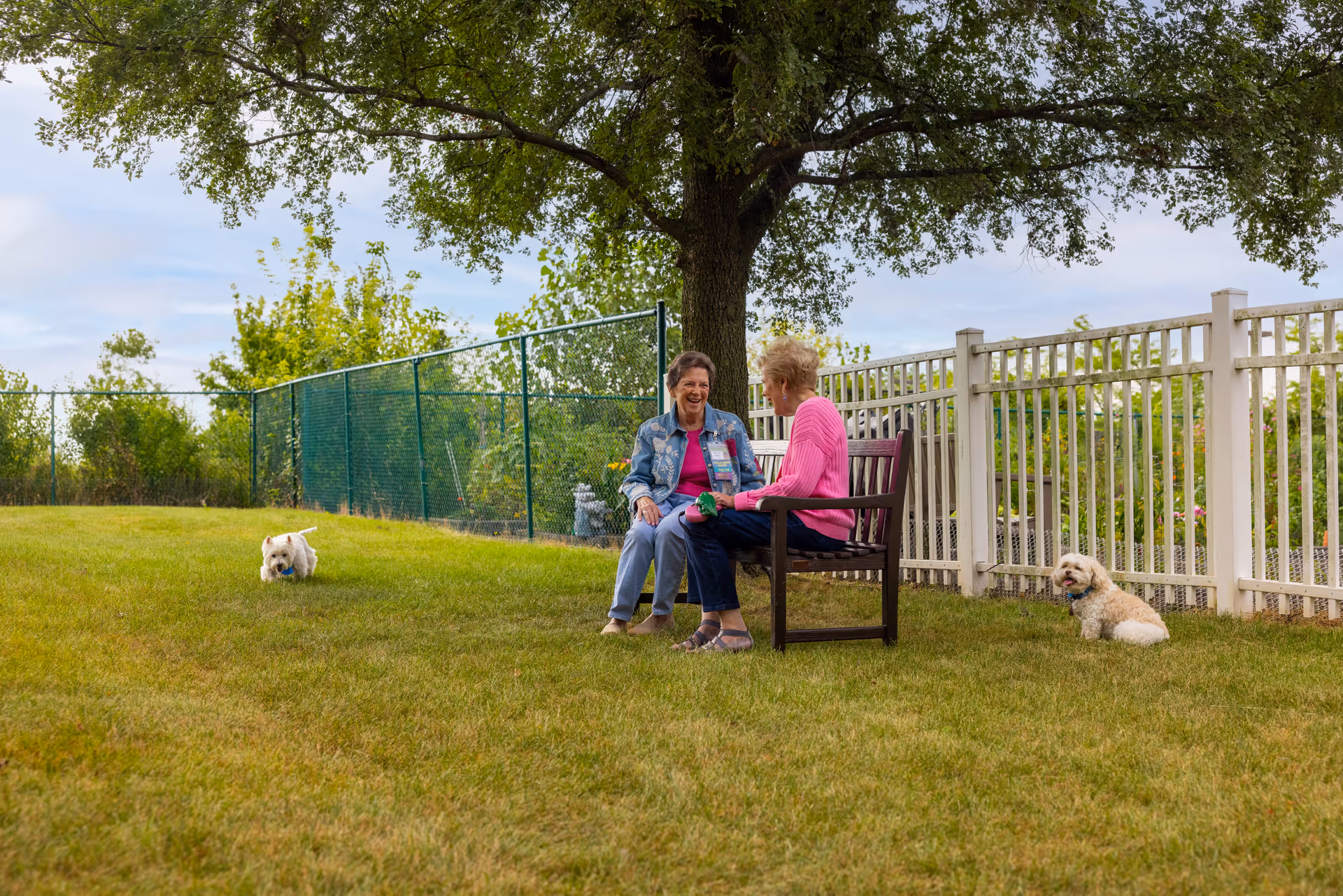 Two elderly women sitting on a bench under a large tree in a grassy fenced yard, smiling and talking. One woman is wearing a denim jacket and the other a pink sweater. Two small dogs are also in the yard, one walking on the grass and the other sitting near the white fence.