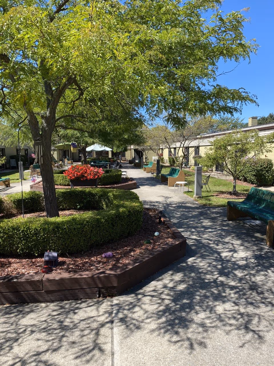 Outdoor courtyard area with a large tree casting shadows on a paved walkway. There are green benches, manicured bushes, flower beds with red flowers, and a building with windows surrounding the courtyard under a clear blue sky.