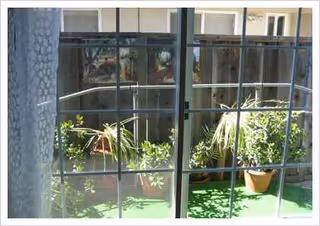 View of a small outdoor courtyard with potted plants seen through a window.