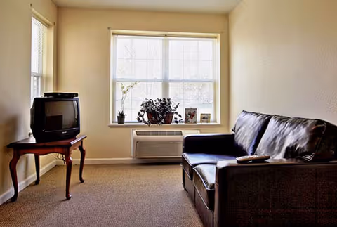 Small living room with a dark leather sofa, a TV on a wooden side table, and a window ledge holding plants above an air conditioner.