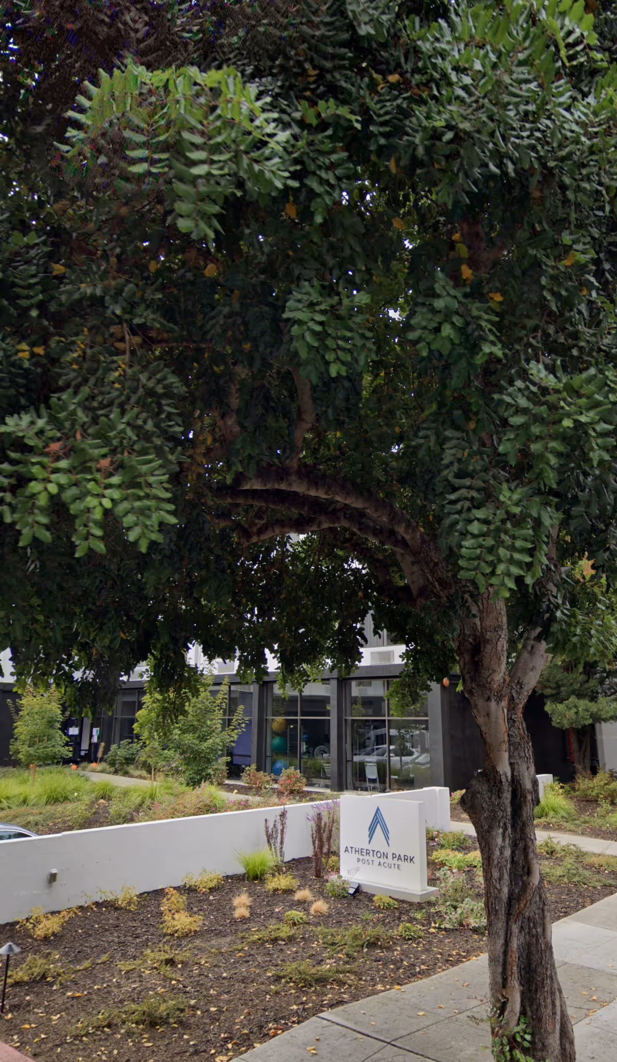 Outdoor view of Atherton Park Post Acute facility showing a tree in the foreground, landscaped garden area with plants and shrubs, a sidewalk, and the building entrance with large windows in the background. A white sign with the facility name and logo is visible near the tree.
