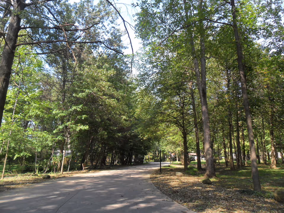 A paved pathway surrounded by tall trees with green foliage on both sides, creating a shaded and serene outdoor environment.