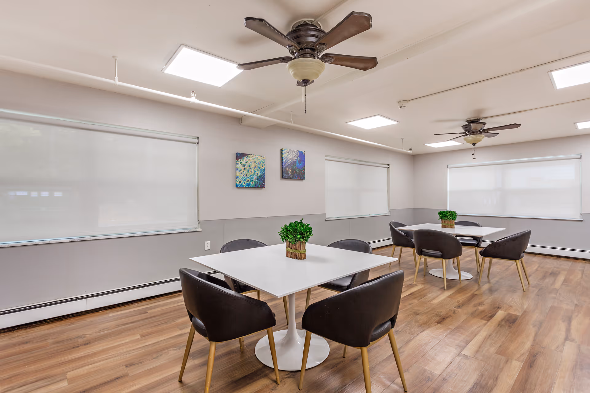 A bright dining room with two white square tables, each surrounded by four black chairs with wooden legs. Each table has a small green potted plant centerpiece. The room has wooden flooring, white walls with a gray lower half, and three large windows with white roller shades. Two ceiling fans with light fixtures are mounted on the ceiling, along with recessed lighting. Two colorful peacock paintings hang on one wall.