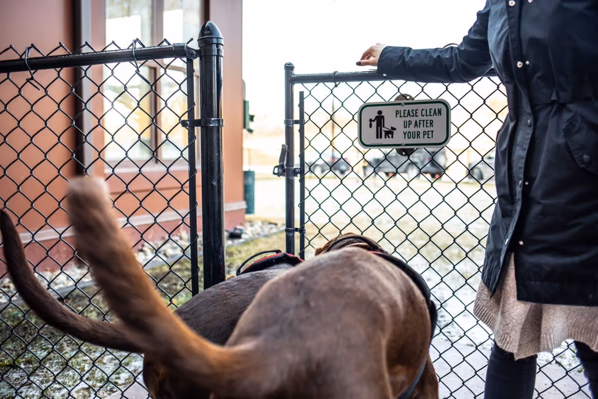 A person holding open a black chain-link gate with a sign that reads 'Please clean up after your pet' while a large brown dog stands nearby outside on a grassy area.