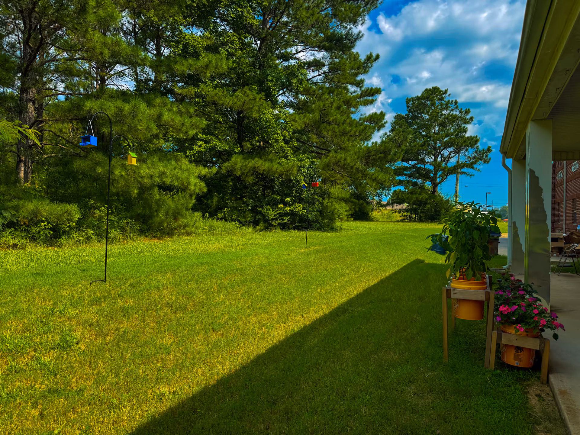 A grassy outdoor area next to a building with a covered patio. There are several potted plants on stands near the patio, and colorful birdhouses hanging from metal poles in the grass. Tall trees and a partly cloudy sky are visible in the background.