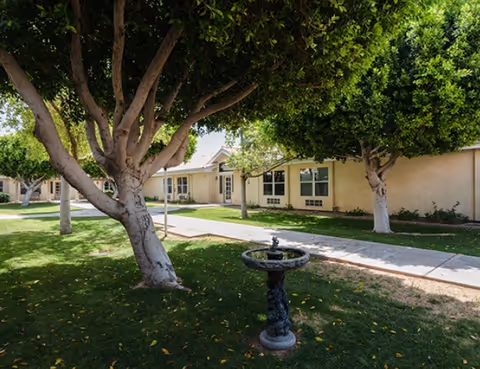 Sunny courtyard with trimmed trees, a small decorative fountain, a sidewalk, and a single-story building with windows.