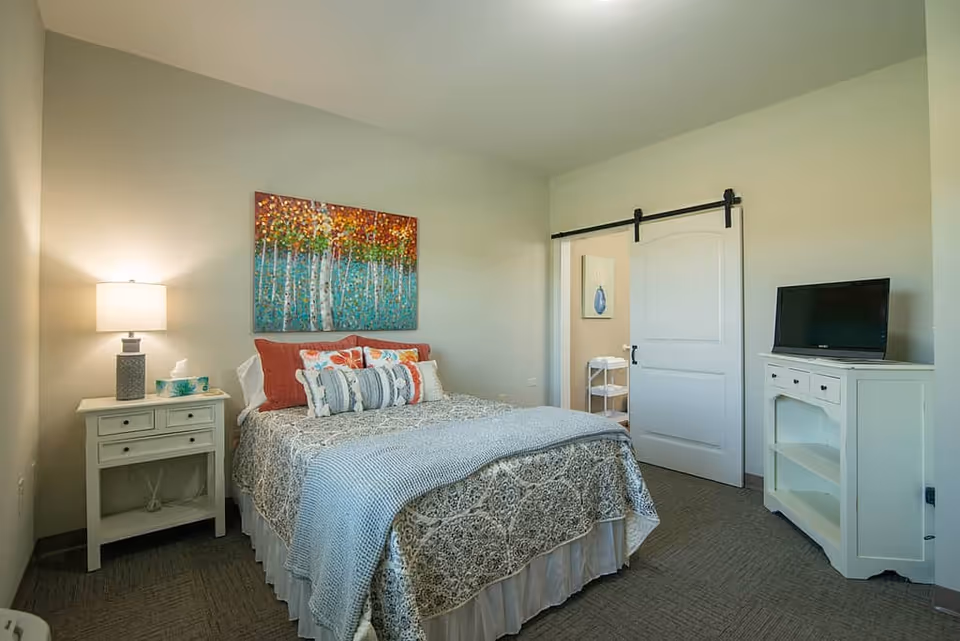 A cozy bedroom with a neatly made bed featuring patterned bedding and multiple pillows. A colorful painting of trees hangs above the bed. To the left of the bed is a white nightstand with a lamp and a box of tissues. On the right side of the room, there is a white dresser with a flat-screen TV on top. A sliding barn door is partially open, revealing a glimpse of an adjoining room with a small shelf and wall art.