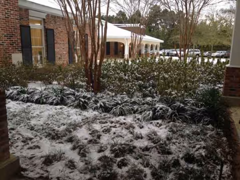 Exterior view of Autumn Leaves Nursing & Rehabilitation Center with snow-covered landscaping and parked cars.